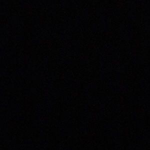 Meet your Posher, Peyton